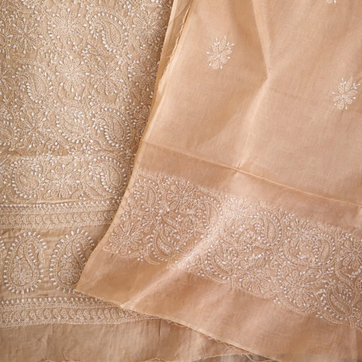 Elegant Chikankari Suit 0194