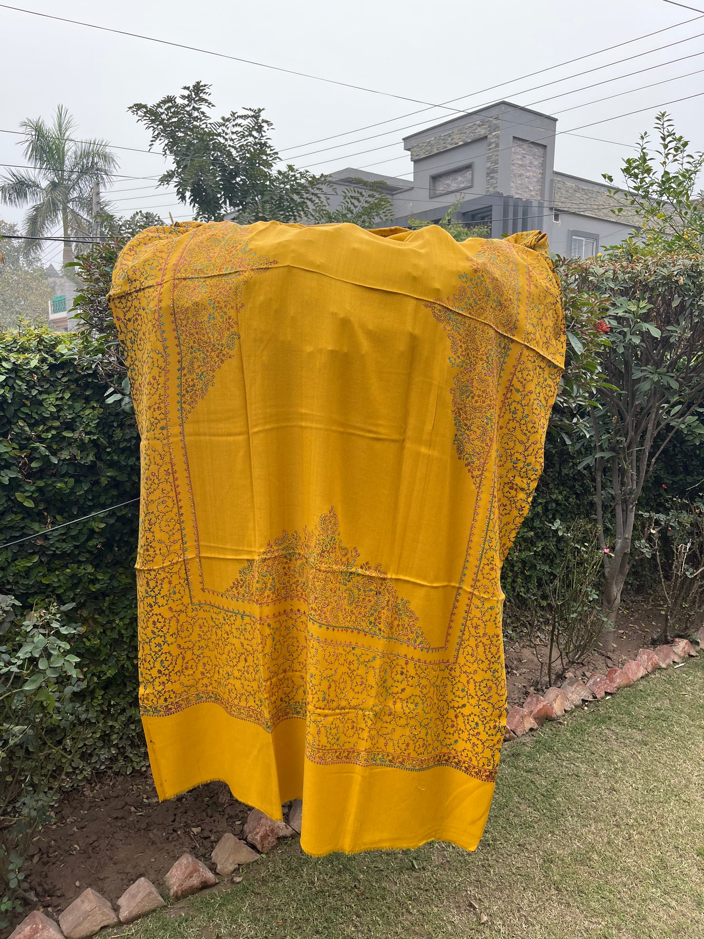 Pashmina Shawl 00724