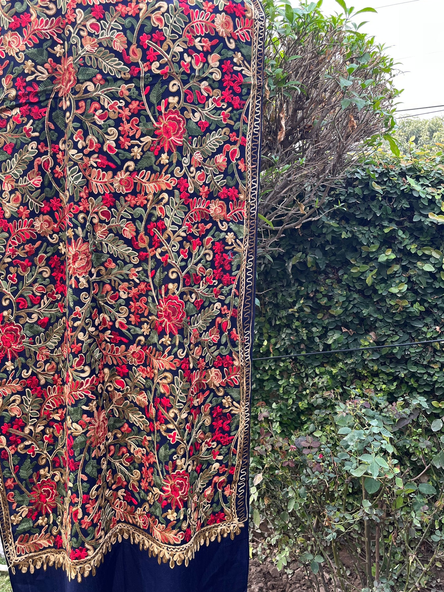 Pashmina Arc Work Stole 0678