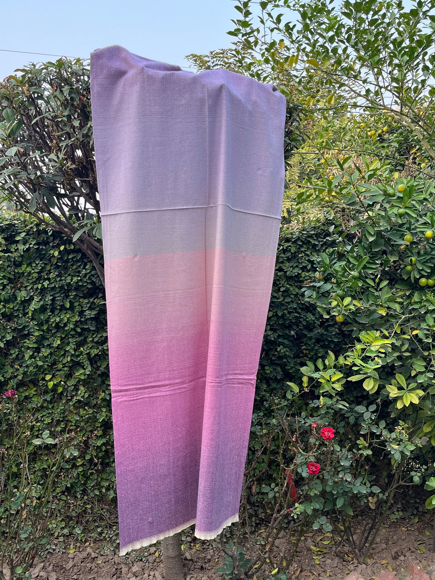 PureBlend Shaded Stoles 0529