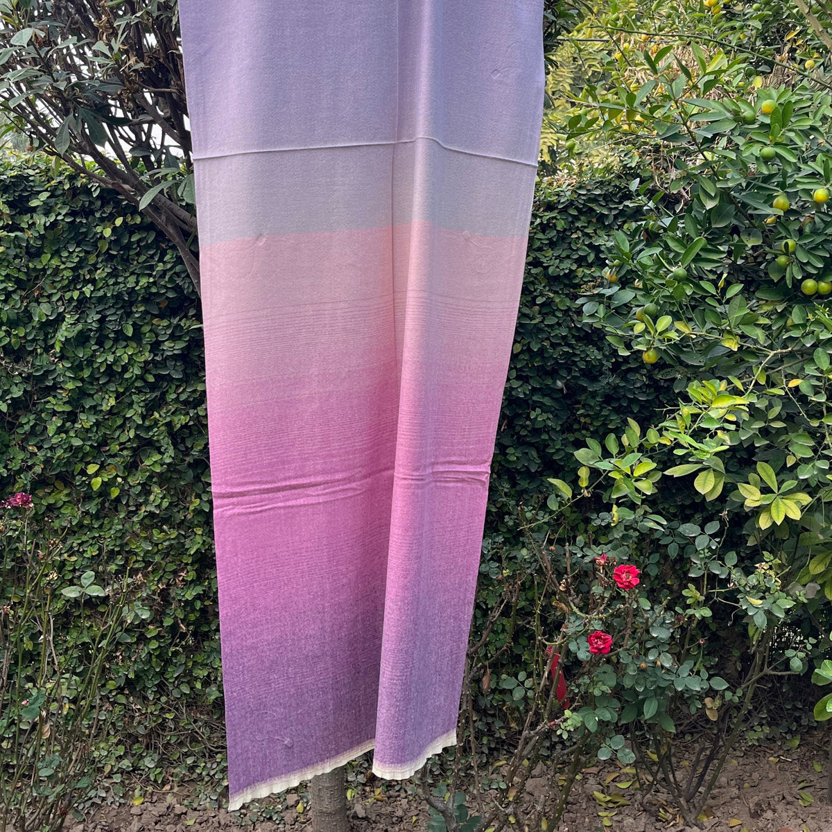 PureBlend Shaded Stoles 0042