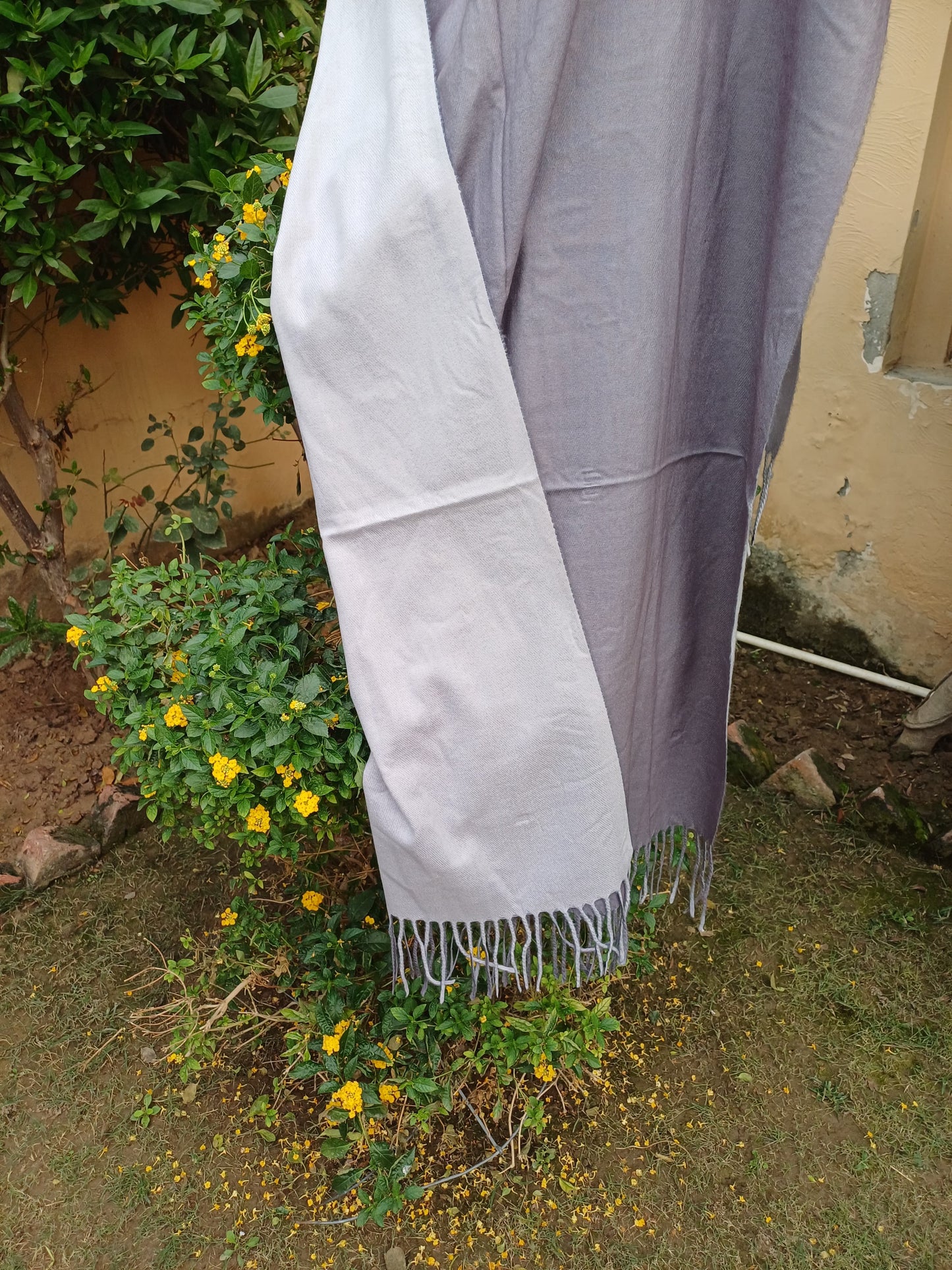 Pashmina Stole 0548