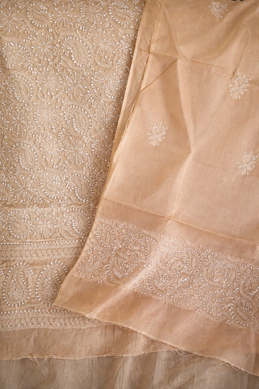 Elegant Chikankari Suit 0166