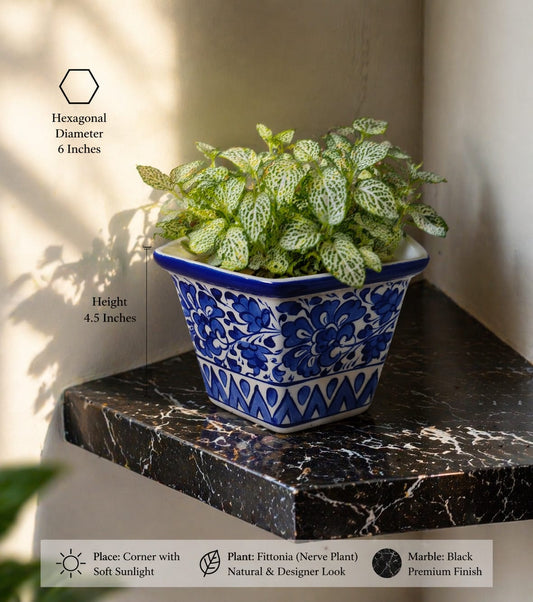 Feroza Hexa (L) Planter 0095