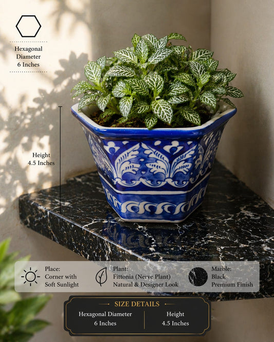 Noor Mahal Hexa (L)  Planter 0093