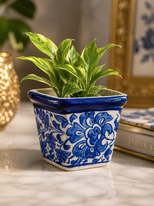 Feroza Planter (small) 0711