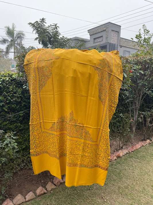 Pashmina Shawl 00724