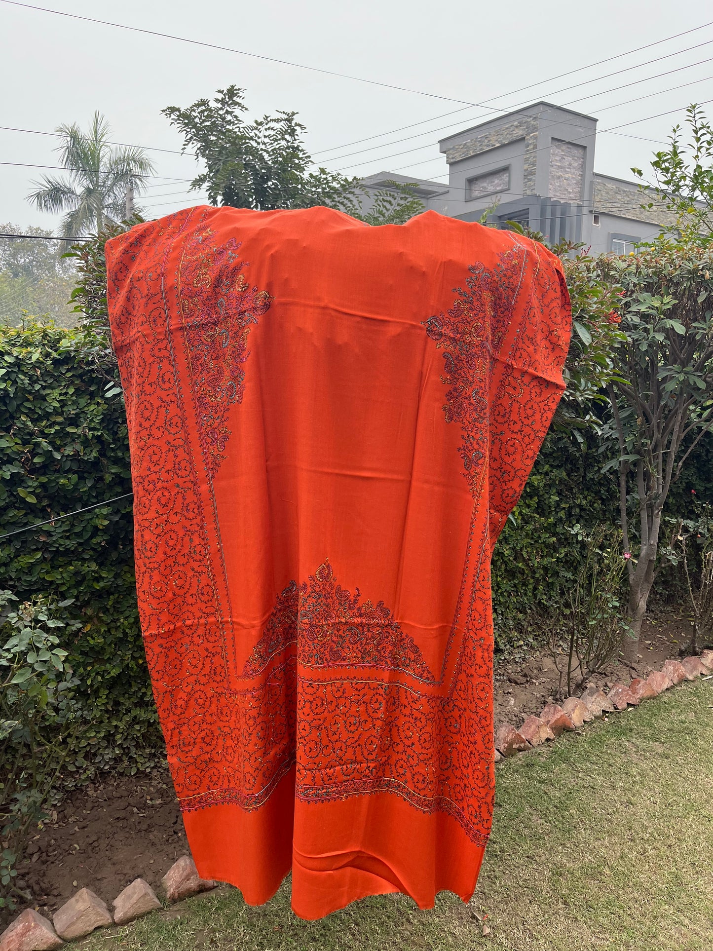 Pashmina Shawl 00723