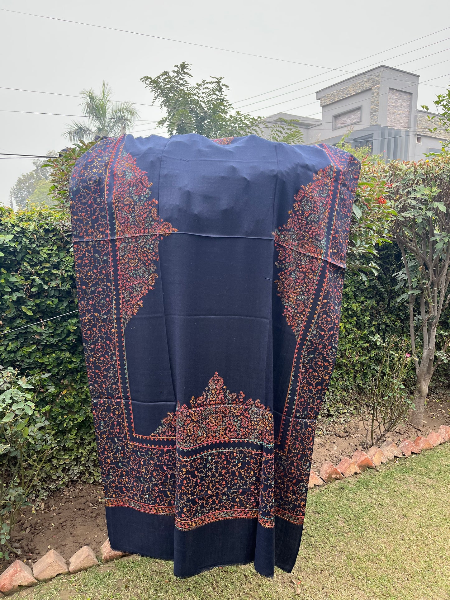 Pashmina Shawl 00721