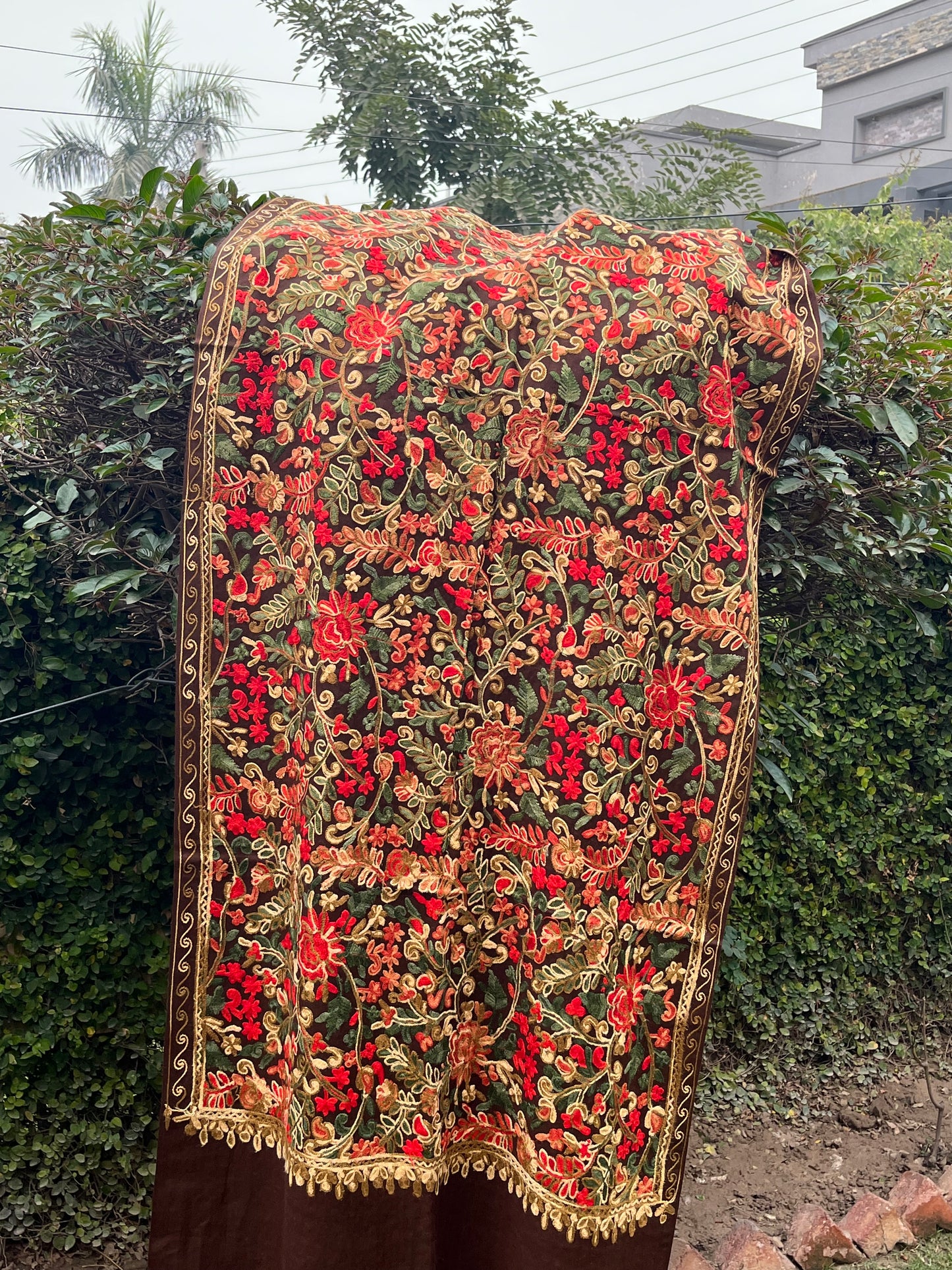 Pashmina Stole 00707