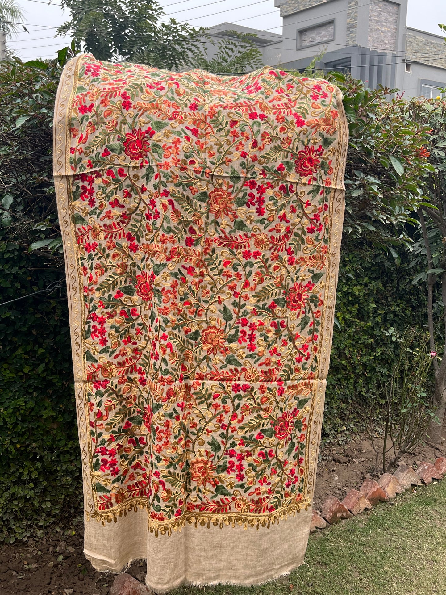 Pashmina Stole 00501