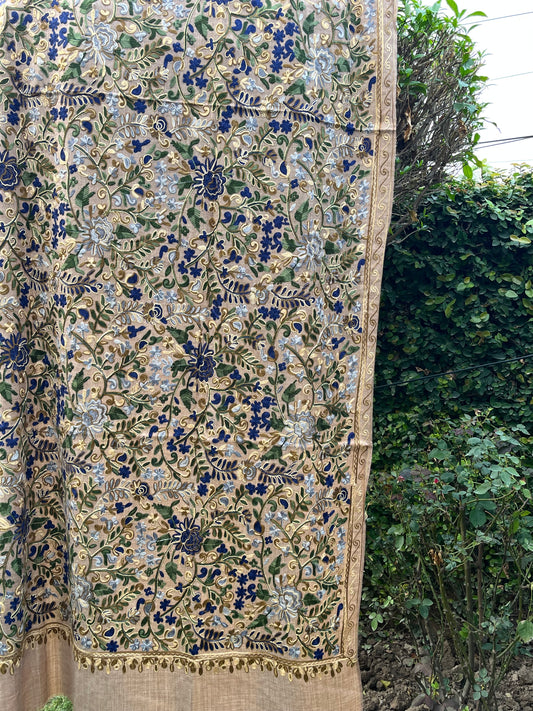 Pashmina Arc Work Shawl 0679