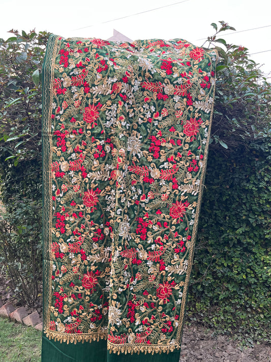 Pashmina Arc work  Stole 064