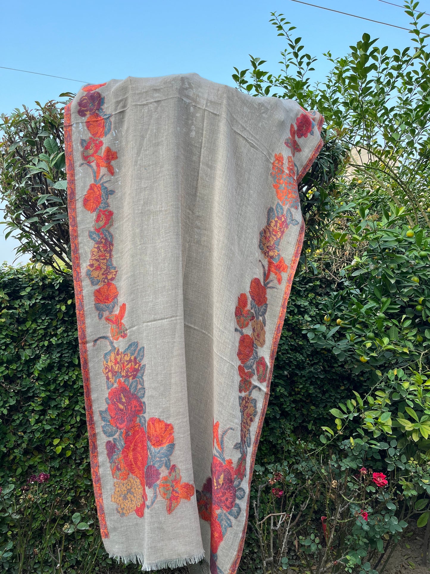 Shah-Toosh  Stole 0537