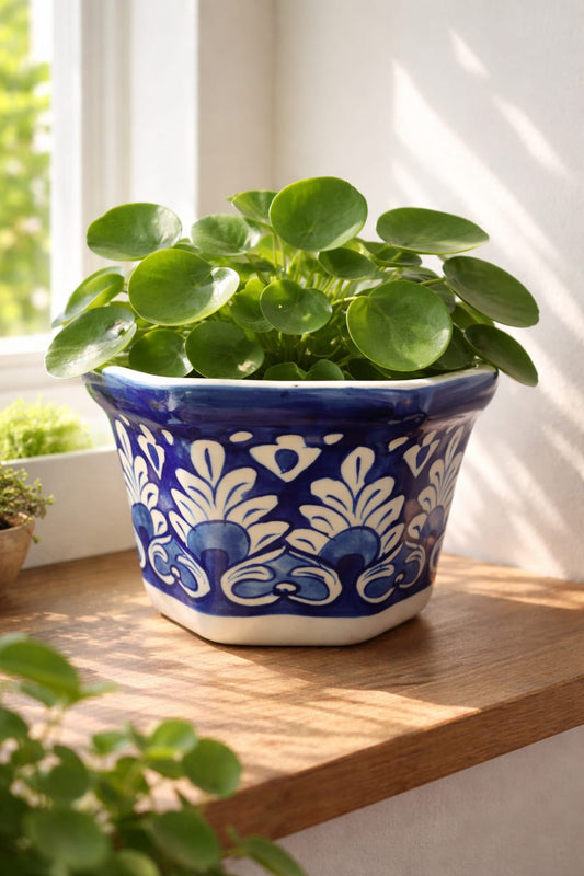Blue Pottery Planter 0008